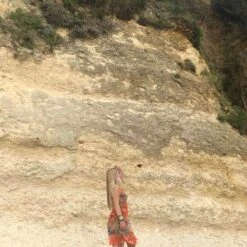 Mini Robe En Mesh 70's- 36 / 38 -Cachare Vetements Magasin 0c09cd28 25df 4ba5 b1db da2deb395a6b